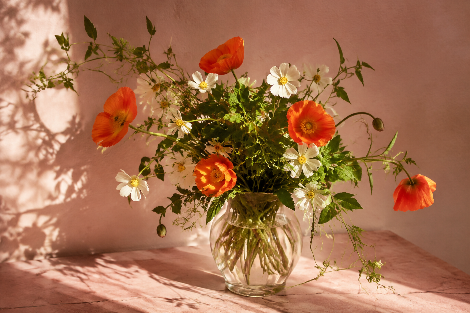 Sunlit poppies and white cosmos arranged in a glass vase